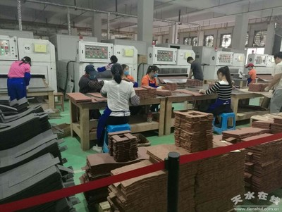 馬小龍赴廣東福美軟瓷等企業考察，推動產業合作與創新發展